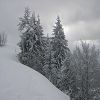 Onnion 2006 394